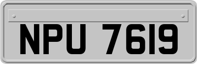 NPU7619