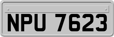 NPU7623