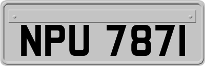 NPU7871