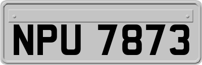 NPU7873