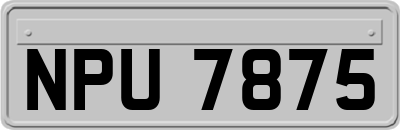 NPU7875