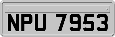 NPU7953