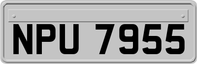 NPU7955