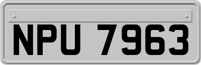 NPU7963