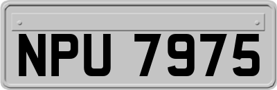 NPU7975