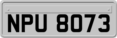 NPU8073