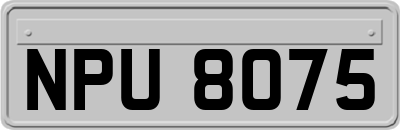 NPU8075