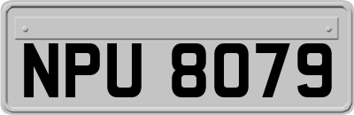 NPU8079