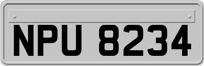 NPU8234