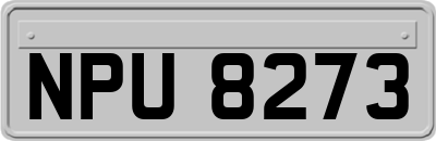 NPU8273