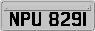 NPU8291