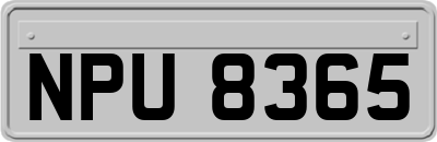 NPU8365