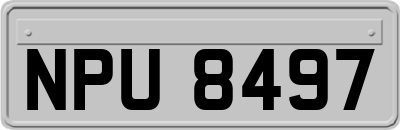 NPU8497