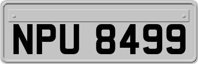 NPU8499