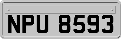 NPU8593