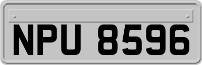 NPU8596