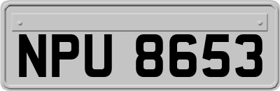 NPU8653