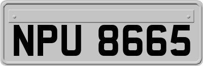 NPU8665
