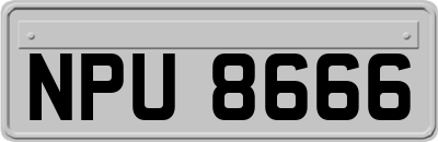 NPU8666