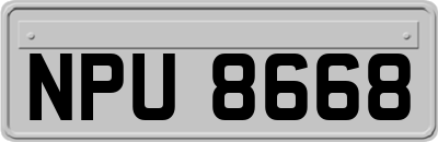 NPU8668