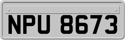 NPU8673