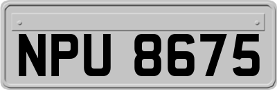 NPU8675