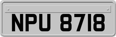 NPU8718