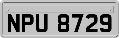 NPU8729
