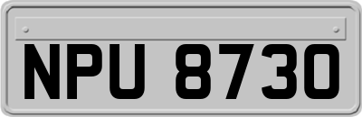 NPU8730