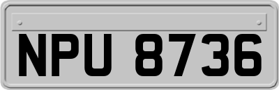NPU8736
