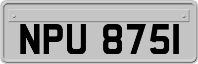 NPU8751
