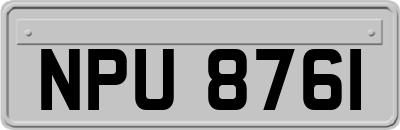 NPU8761