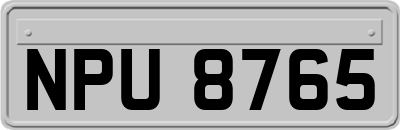 NPU8765