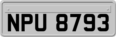 NPU8793