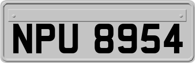 NPU8954
