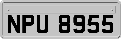 NPU8955