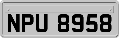 NPU8958