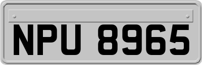 NPU8965