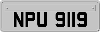 NPU9119