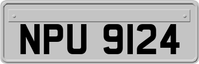 NPU9124