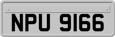 NPU9166
