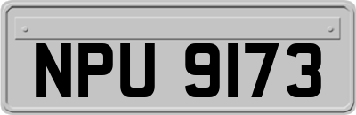 NPU9173