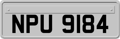 NPU9184