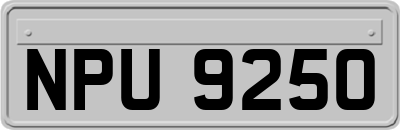 NPU9250
