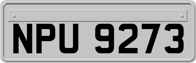 NPU9273