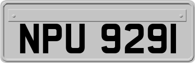 NPU9291