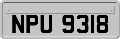NPU9318