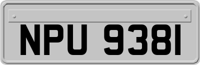 NPU9381