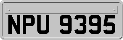 NPU9395