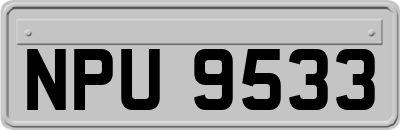 NPU9533